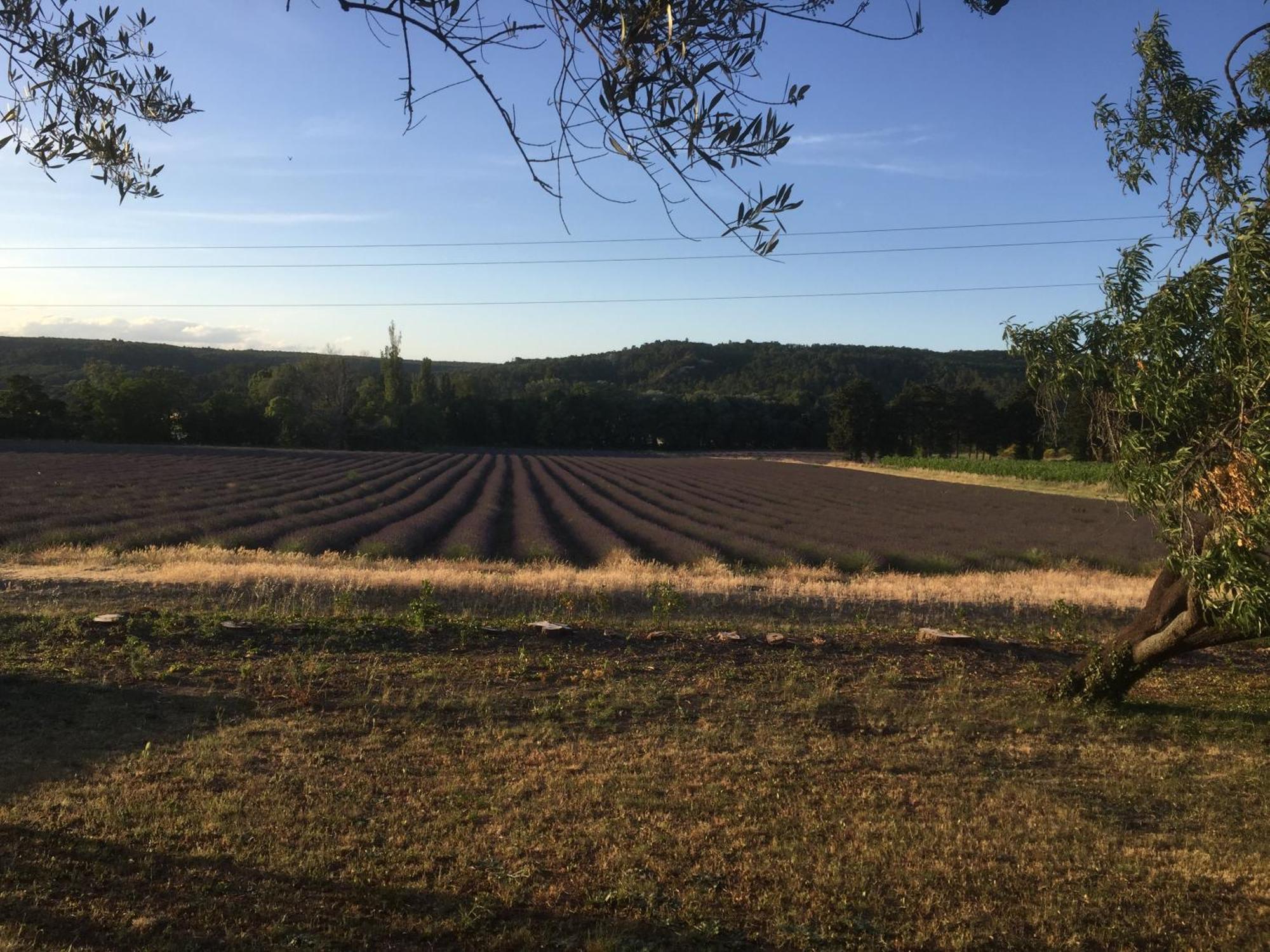 Gite Le Gre Chantemerle-lès-Grignan Exterior foto