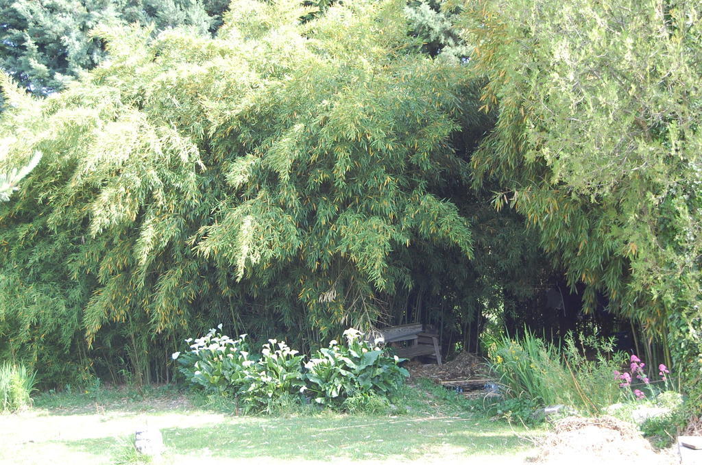 Gite Le Gre Chantemerle-lès-Grignan Exterior foto