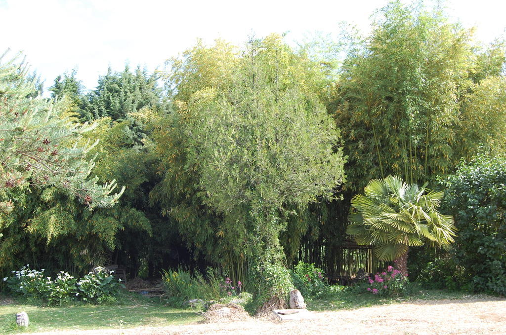 Gite Le Gre Chantemerle-lès-Grignan Exterior foto