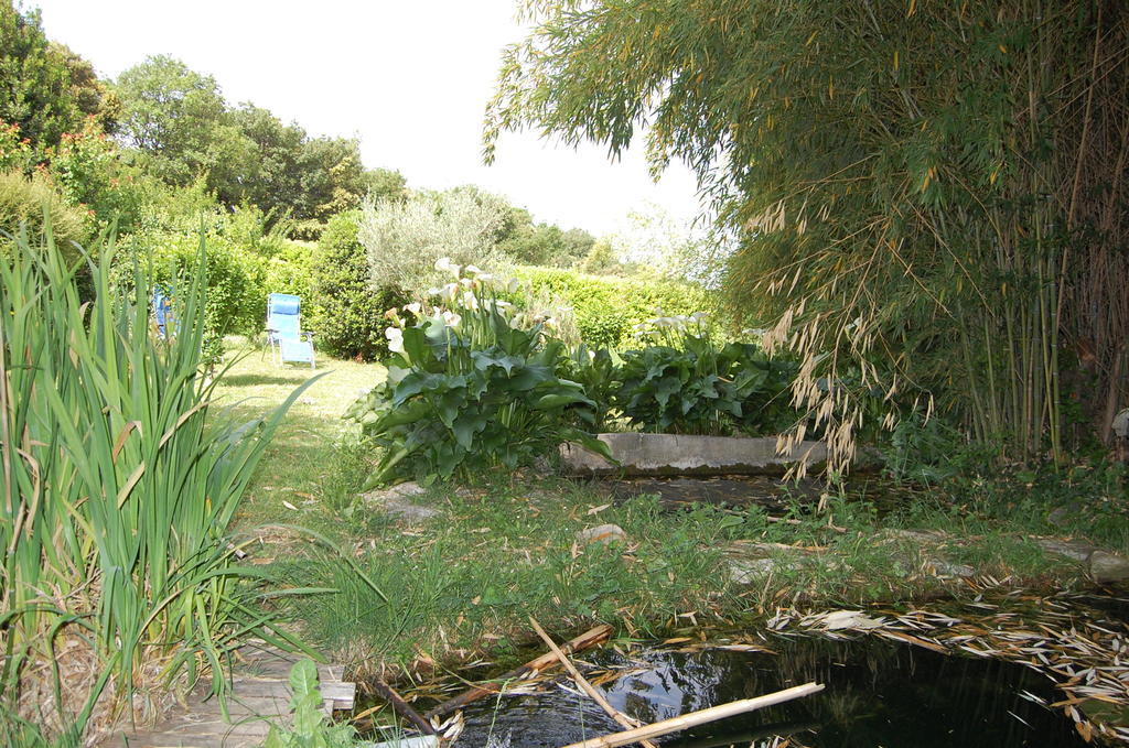 Gite Le Gre Chantemerle-lès-Grignan Exterior foto